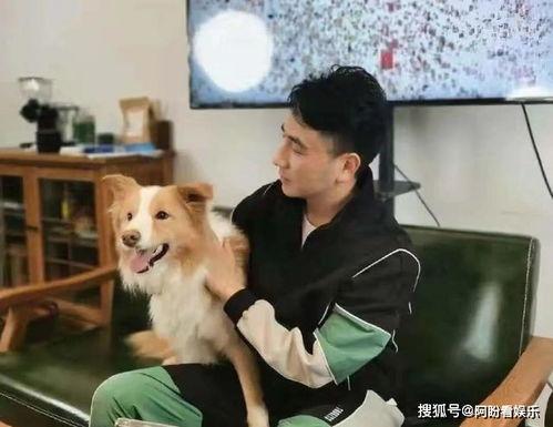 林生斌爸爸视频爆料,揭秘事件背后真相